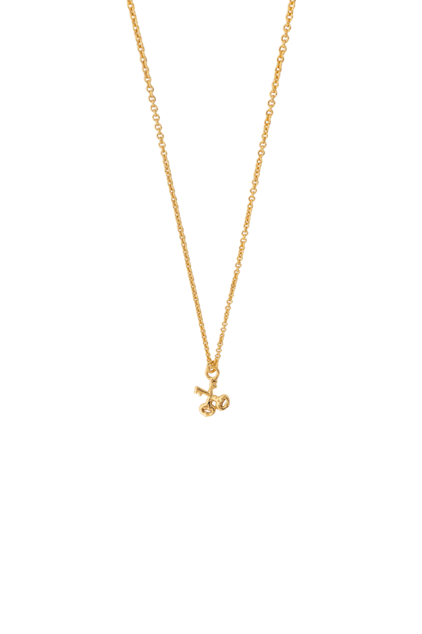 Sleuteltjes Ketting Leiden Product